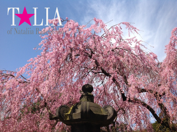 Бруклинский Ботанический Сад в Нью-Йорке (Brooklyn Botanic Garden)