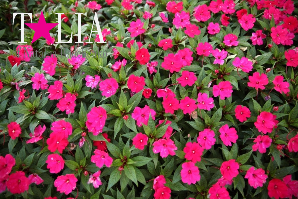 Вашингтон, округ Колумбия, США