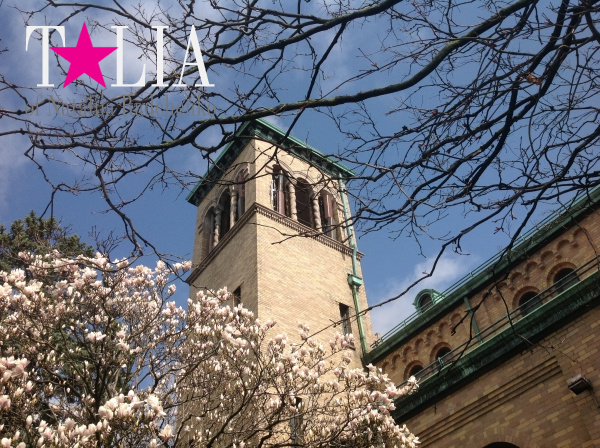 Местная церковь. Роздейл, Квинс, Нью-Йорк.