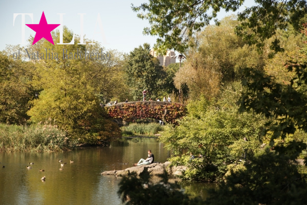 Осень. Центральный парк Нью-Йорка хорош в любое время года!