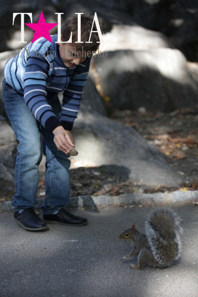 Осенний Централ-парк - это огромное количество белок!