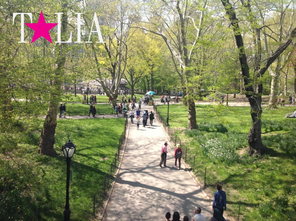 Весна. Центральный парк Нью-Йорка. (Central Park)