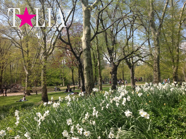 Весна. Центральный парк Нью-Йорка. (Central Park)