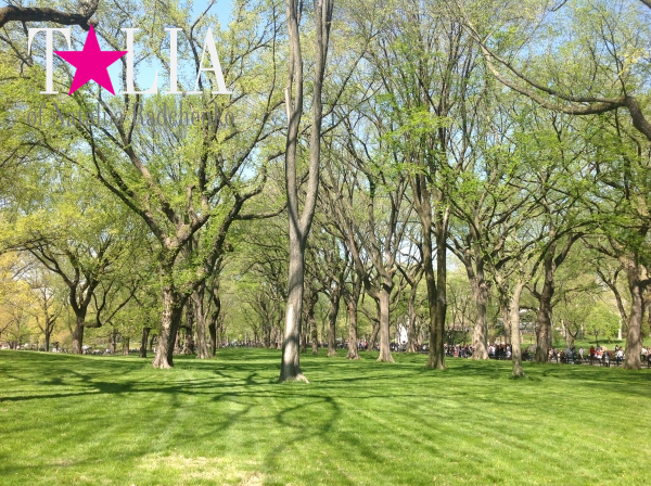 Весна. Центральный парк Нью-Йорка. (Central Park)