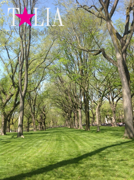 Весна. Центральный парк Нью-Йорка. (Central Park)