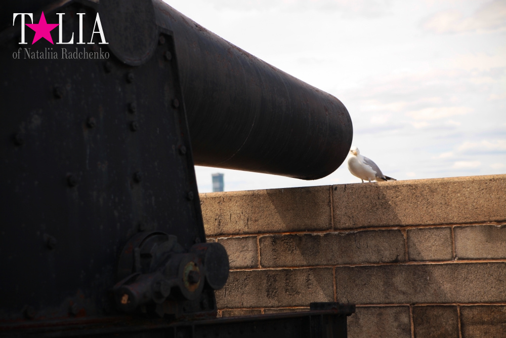 Замок Уильямс на Гувернер Айленде в Нью-Йорке (Williams Castle)