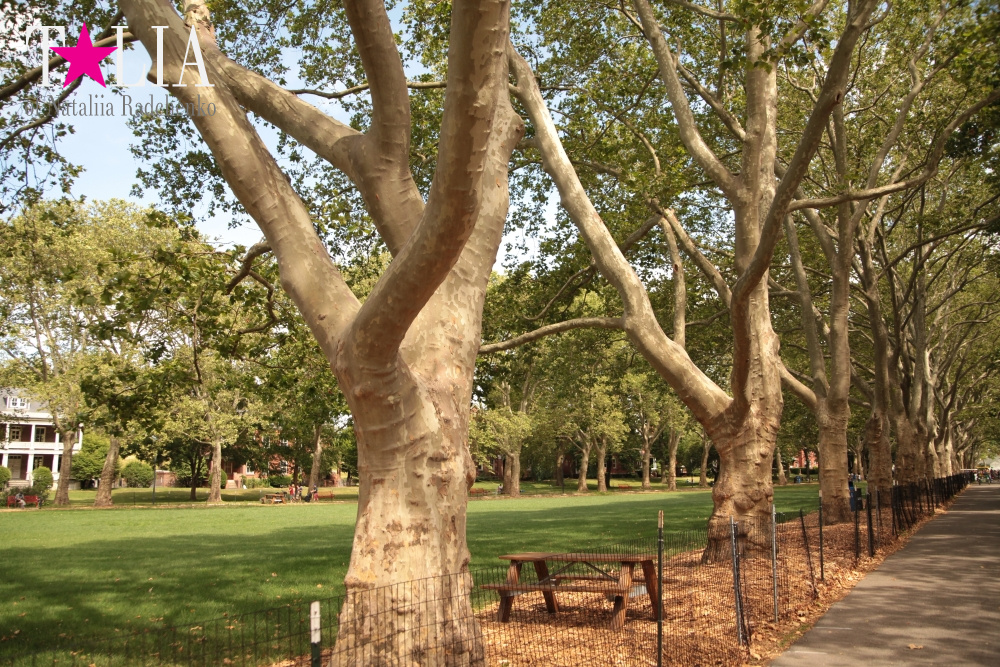 Отдых на Гувернер Айленде (Governors Island). Лучший скайлайн Нью-Йорка