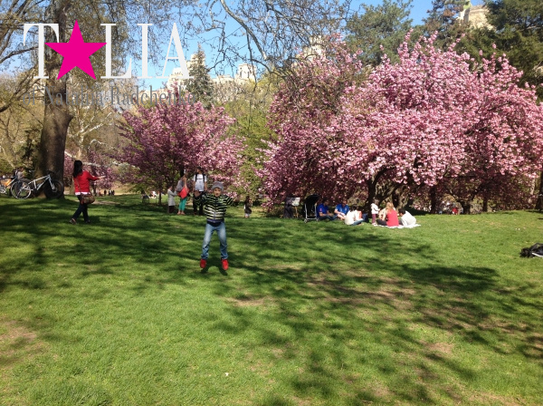 Весна. Центральный парк Нью-Йорка. (Central Park)