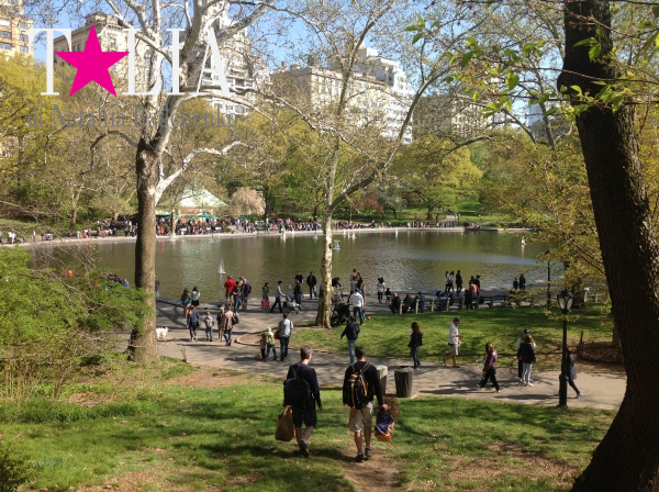 Весна. Центральный парк Нью-Йорка. (Central Park)