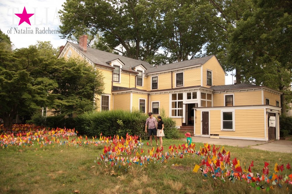 Отдых на Гувернер Айленде (Governors Island). Лучший скайлайн Нью-Йорка