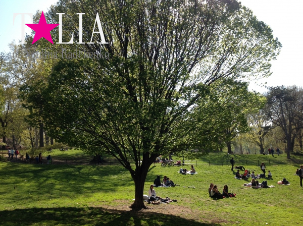 Это киношное дерево я тоже решила включить в этот весенний материал))) Центральный парк, Манхэттен