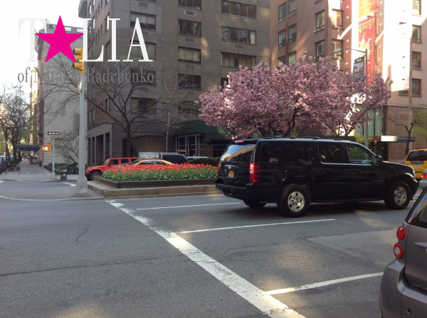 Весенний Вест-Сайд Манхэттена, Нью-Йорк, США