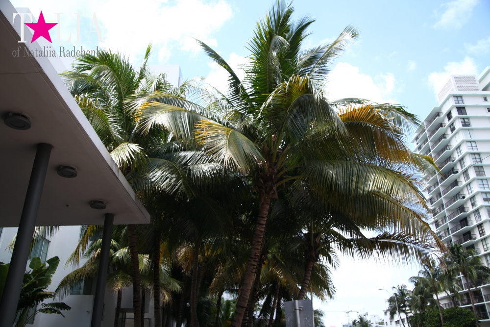 Коллинз Авеню на Майами Бич (Сollins Аvenue)