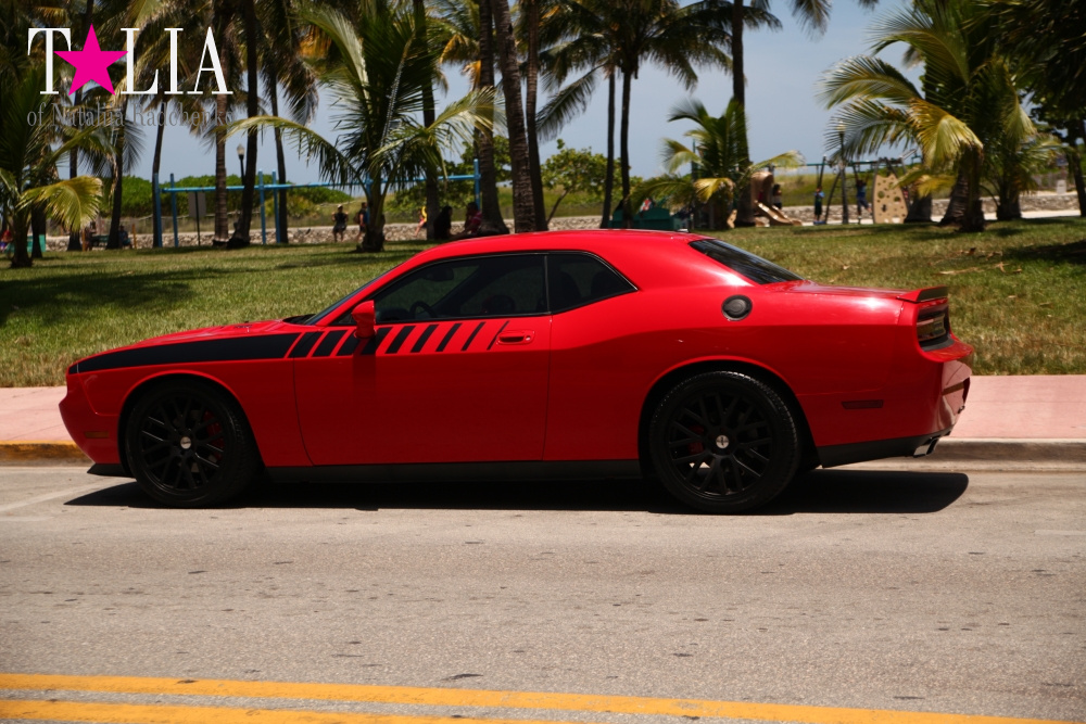 Парк Люммус на Майами Бич (Lummus Park, South Beach, Miami Beach)