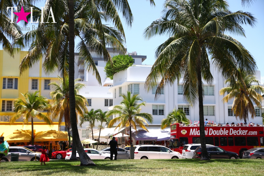 Парк Люммус на Майами Бич (Lummus Park, South Beach, Miami Beach)
