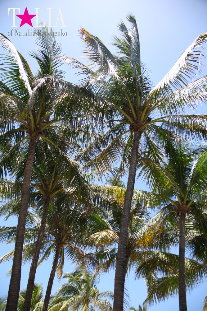 Парк Люммус на Майами Бич (Lummus Park, South Beach, Miami Beach)