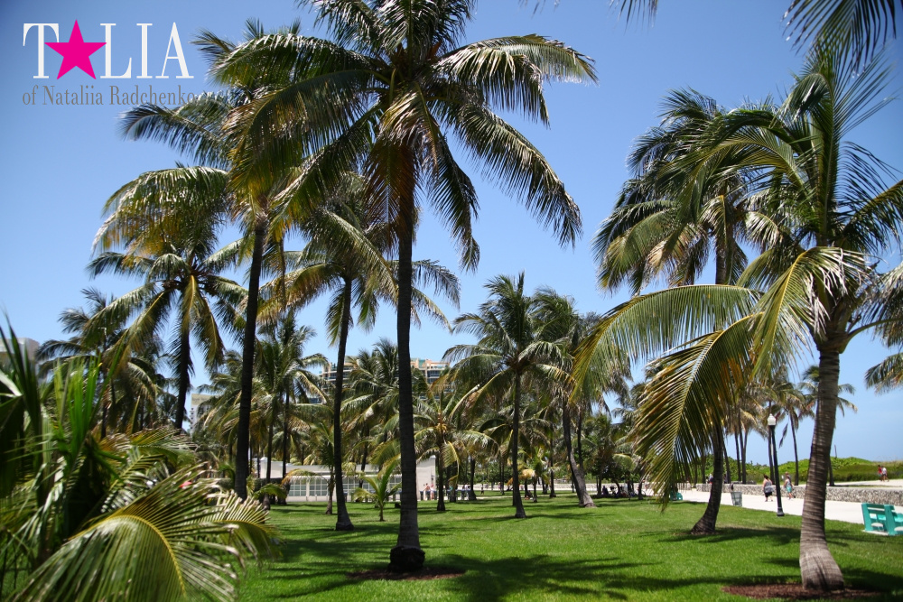 Парк Люммус на Майами Бич (Lummus Park, South Beach, Miami Beach)