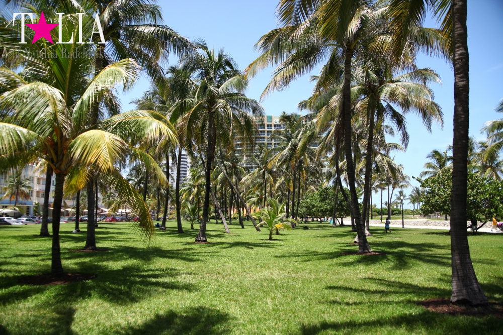 Парк Люммус на Майами Бич (Lummus Park, South Beach, Miami Beach)