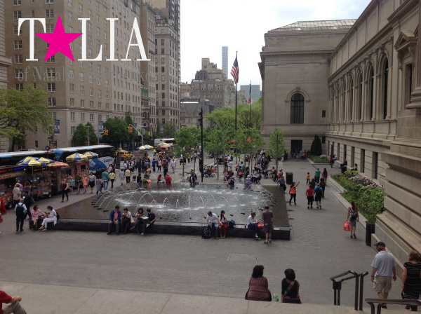 Возле музея Метрополитен. Манхэттен, Нью-Йорк