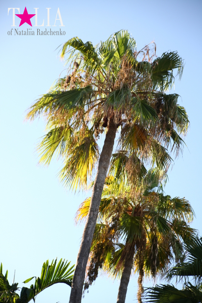 Наш отдых в бассейне на Майами Бич, Флорида, США