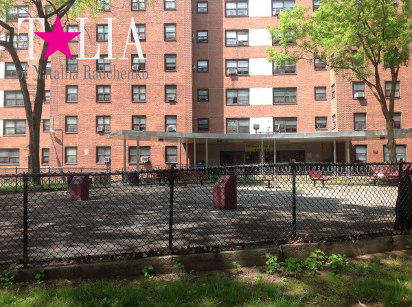 Дворики. Харлем, Верхний Манхэттен, Нью-Йорк