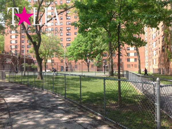 Дворики. Харлем, Верхний Манхэттен, Нью-Йорк