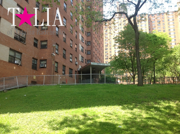 Дворики. Харлем, Верхний Манхэттен, Нью-Йорк