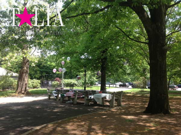 Так отмечают детские Дни рождения в Харлеме. Место для пикника забронировано!