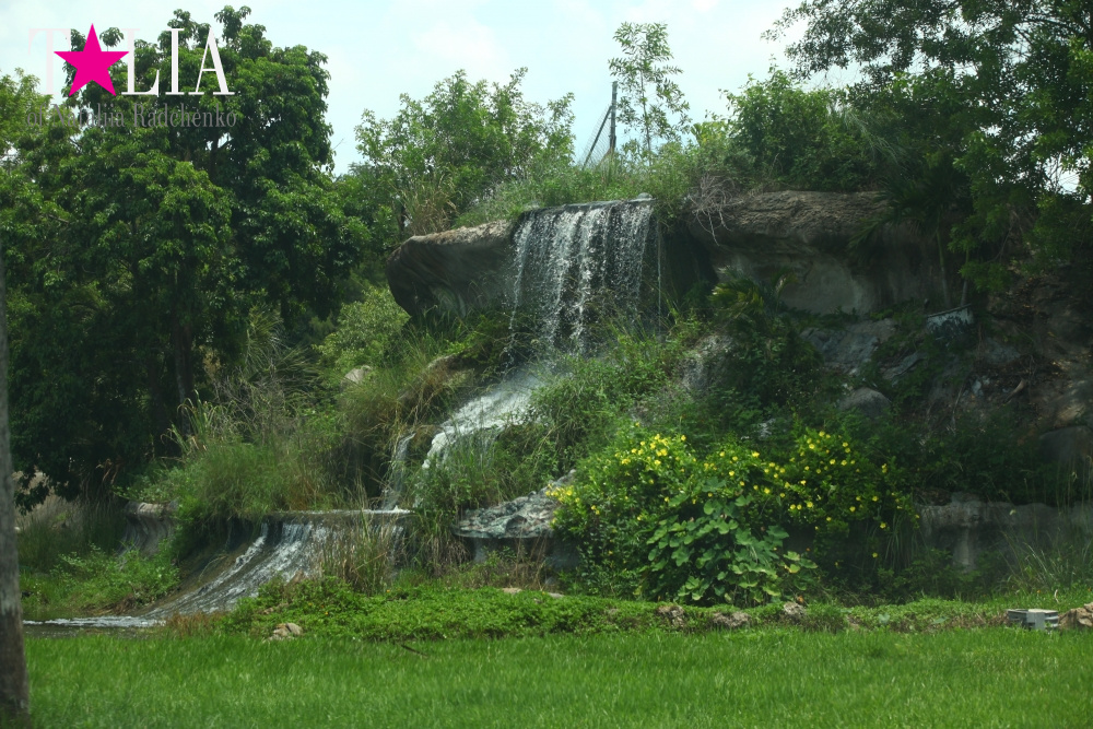 Львиное сафари в Майами (Lion Country Safari)