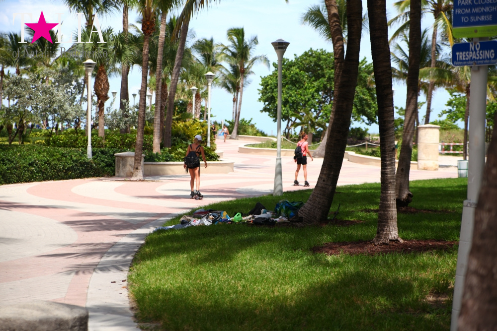 Парк Люммус на Майами Бич (Lummus Park, South Beach, Miami Beach)