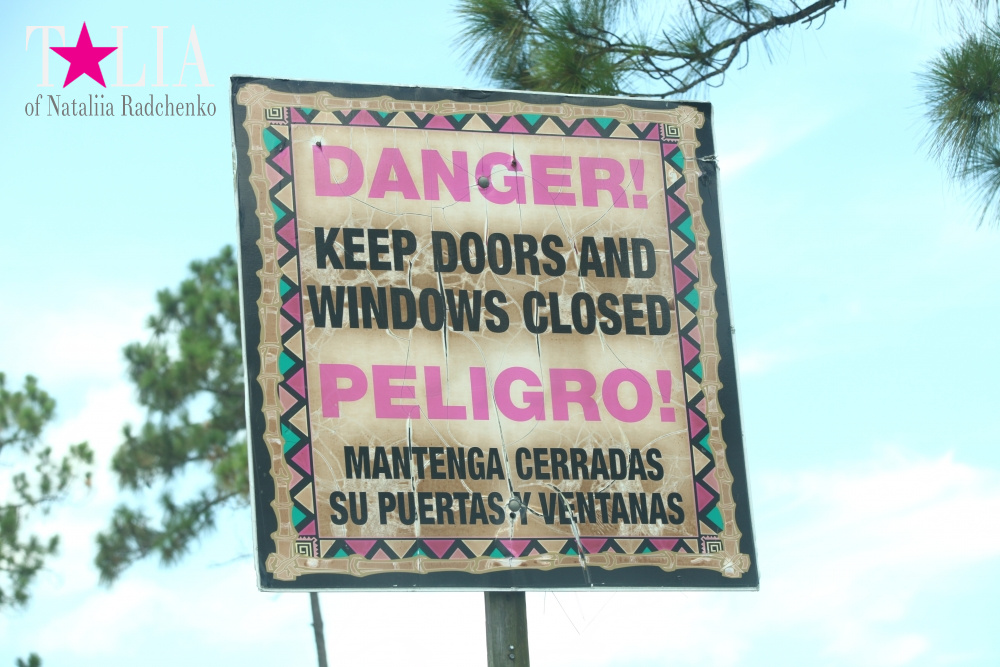 Львиное сафари в Майами (Lion Country Safari)