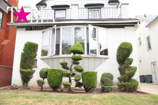 Хозяева домов в районе Бэй Ридж по сей день соревнуются за звание самого-самого! К примеру, стригут кусты необычным образом! :)