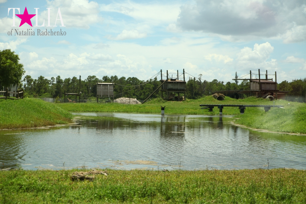 Львиное сафари в Майами (Lion Country Safari) 2 часть