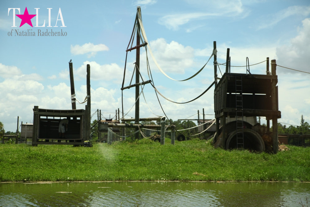 Львиное сафари в Майами (Lion Country Safari) 2 часть