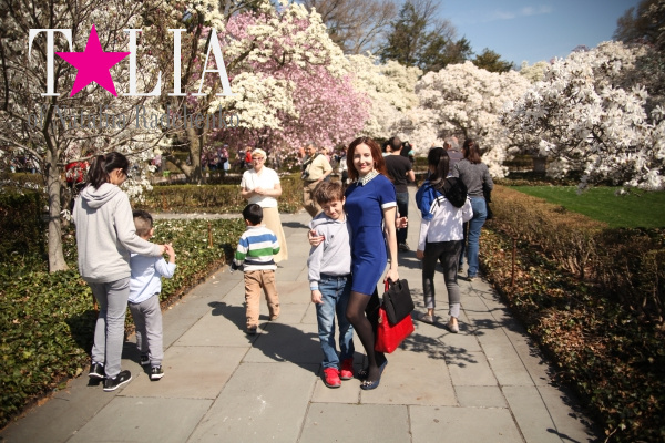 Бруклинский Ботанический Сад в Нью-Йорке (Brooklyn Botanic Garden)