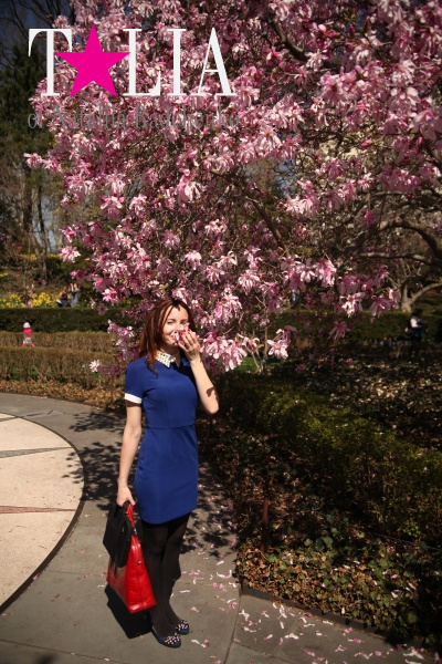 Бруклинский Ботанический Сад в Нью-Йорке (Brooklyn Botanic Garden)