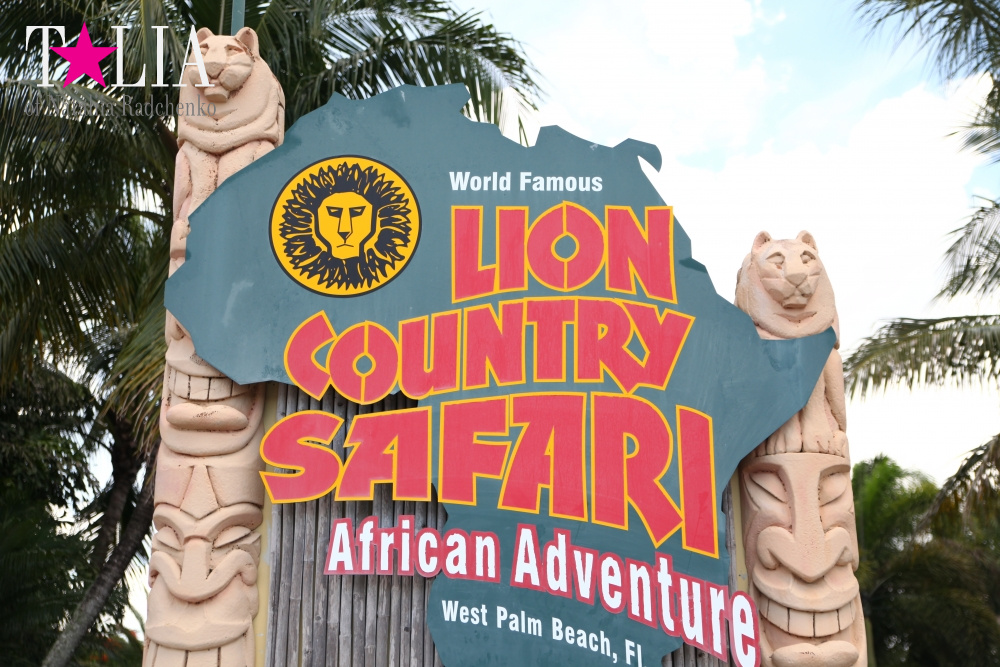 Катание на лодке вокруг Острова обезьян в Стране Львов, Флорида