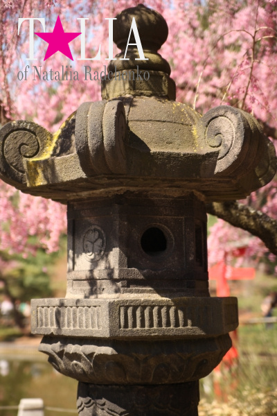 Бруклинский Ботанический Сад.