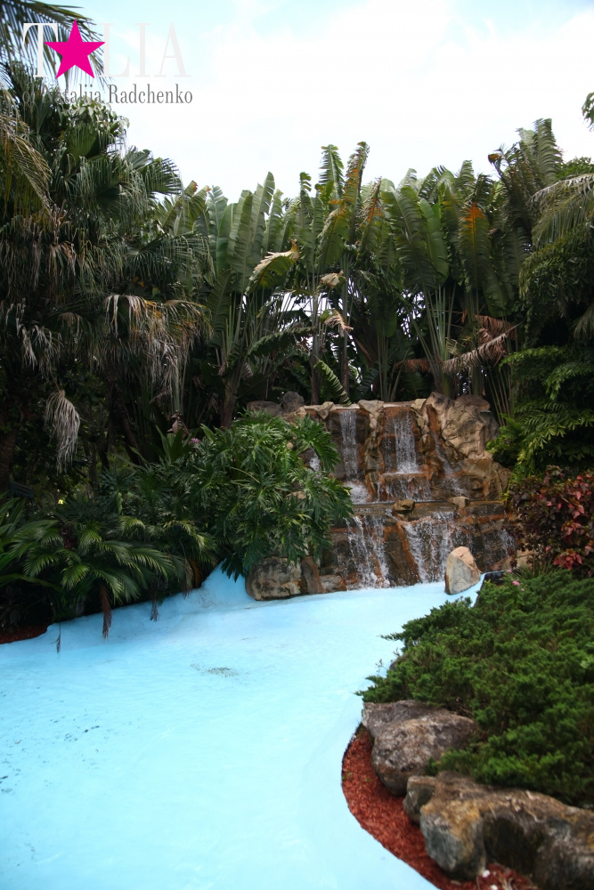 Катание на лодке вокруг Острова обезьян в Стране Львов, Флорида