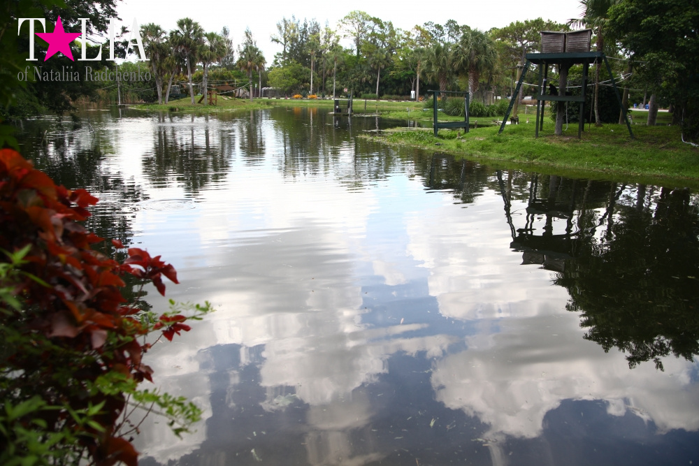 Катание на лодке вокруг Острова обезьян в Стране Львов, Флорида