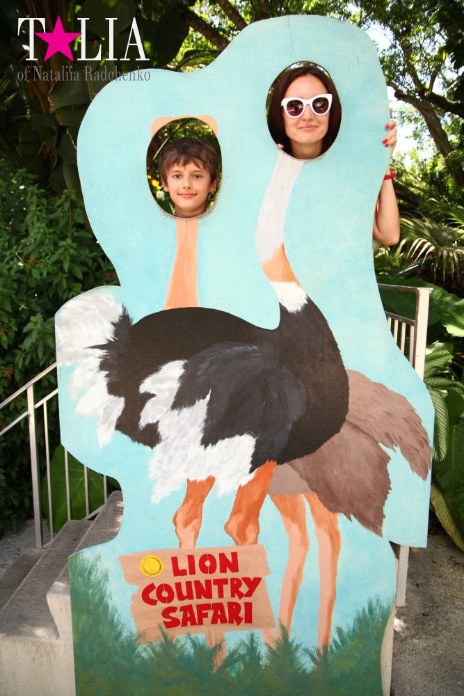 Катание на лодке вокруг Острова обезьян в Стране Львов, Флорида