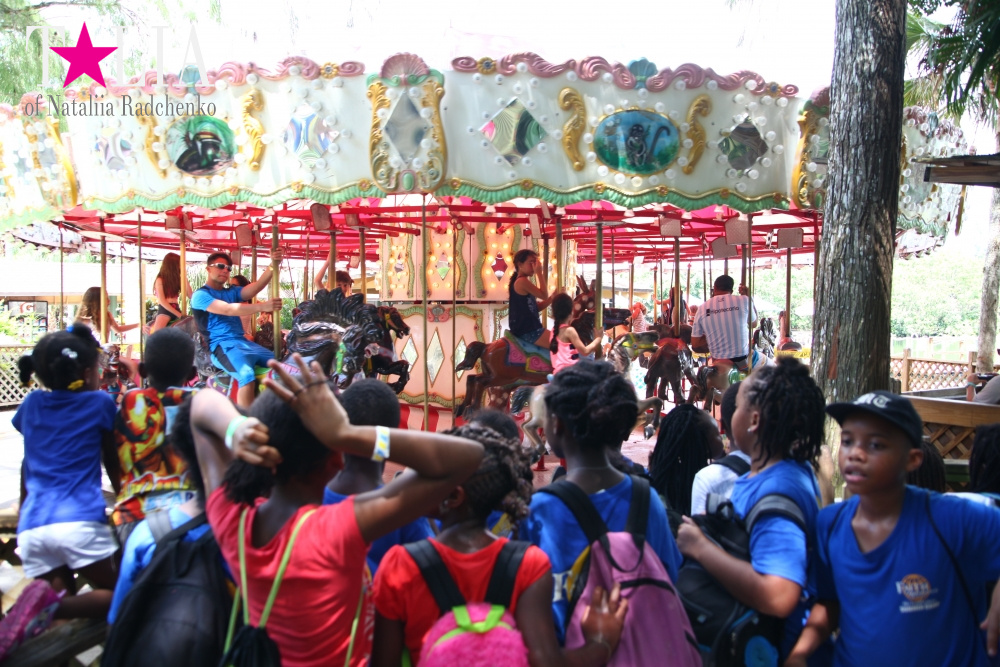 Мини-гольф и другие развлечения Страны Львов, Флорида