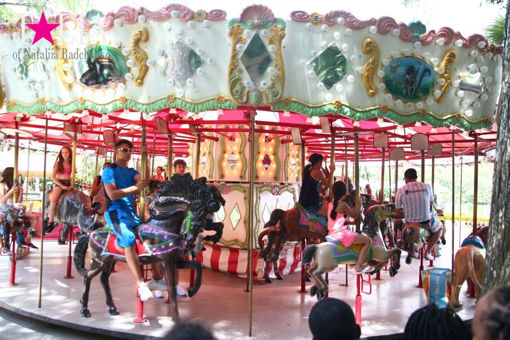 Мини-гольф и другие развлечения Страны Львов, Флорида