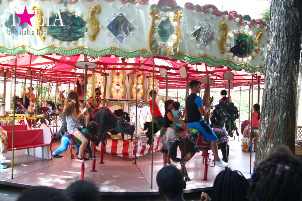 Мини-гольф и другие развлечения Страны Львов, Флорида