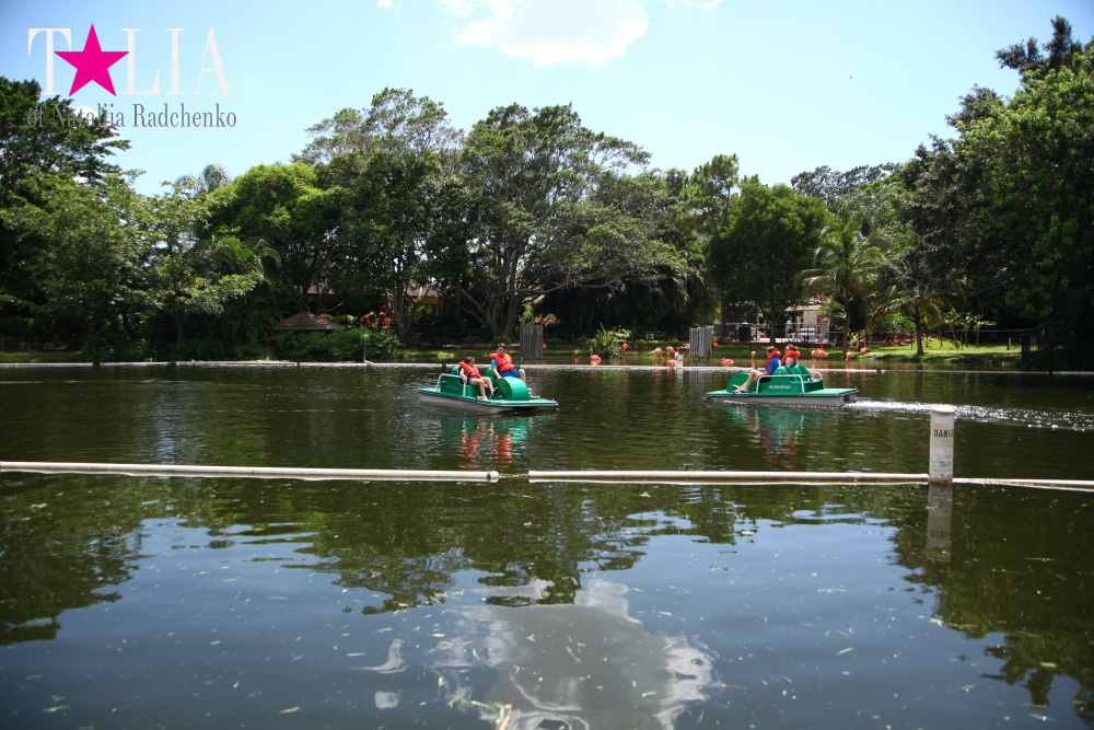 Катание на лодке вокруг Острова обезьян в Стране Львов, Флорида