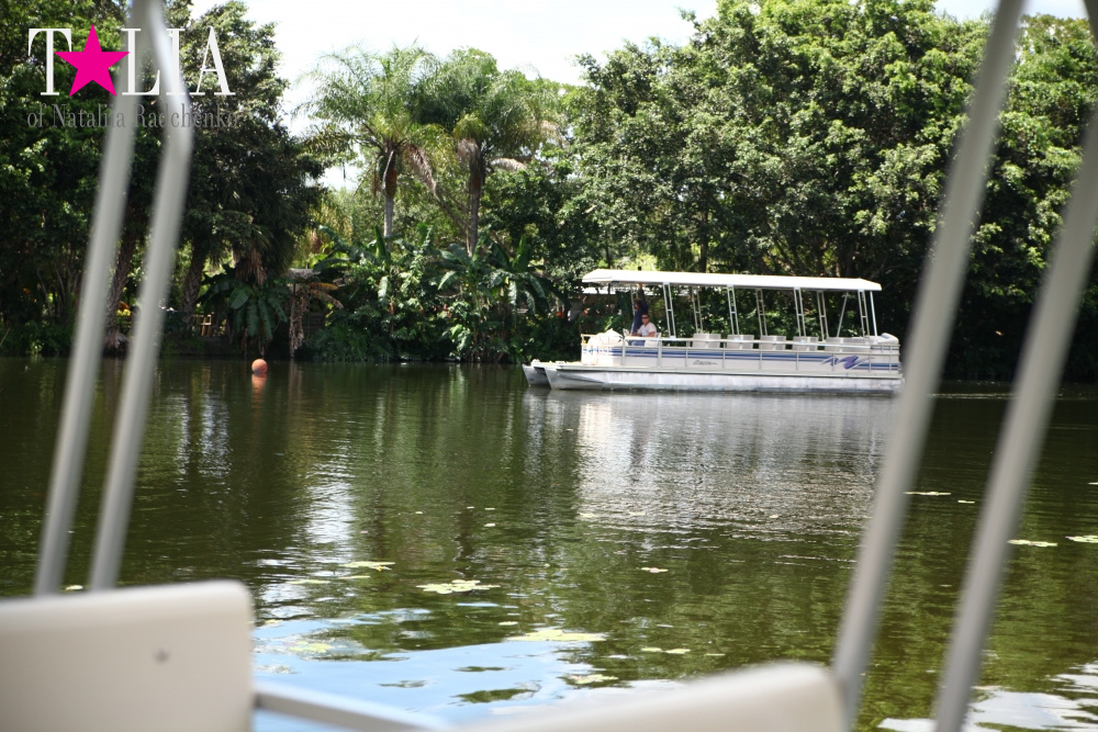 Катание на лодке вокруг Острова обезьян в Стране Львов, Флорида