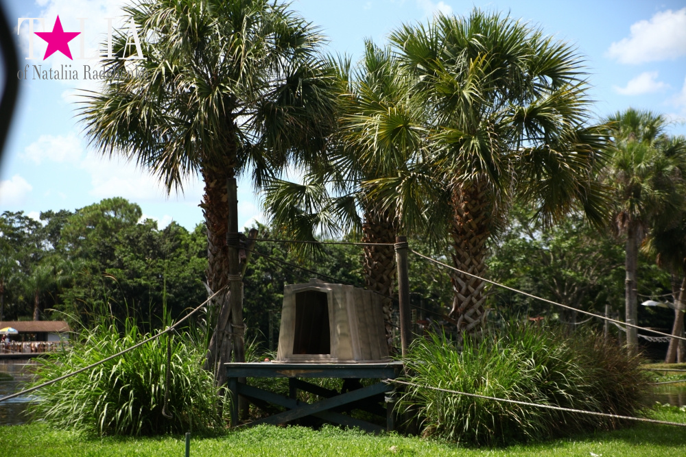 Катание на лодке вокруг Острова обезьян в Стране Львов, Флорида