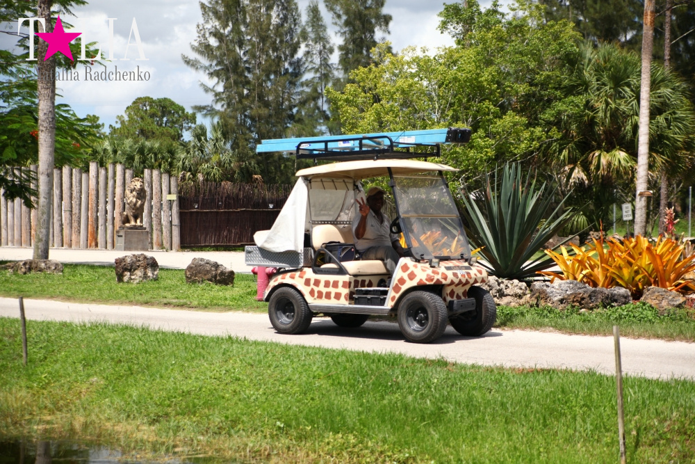 Катание на лодке вокруг Острова обезьян в Стране Львов, Флорида