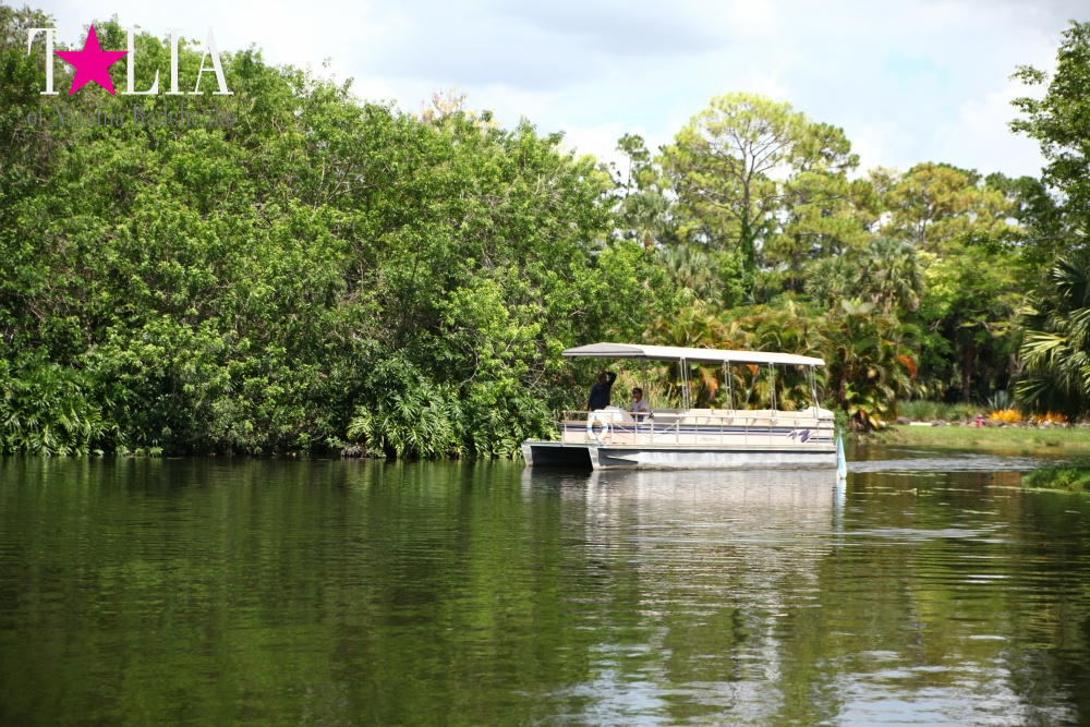 Катание на лодке вокруг Острова обезьян в Стране Львов, Флорида