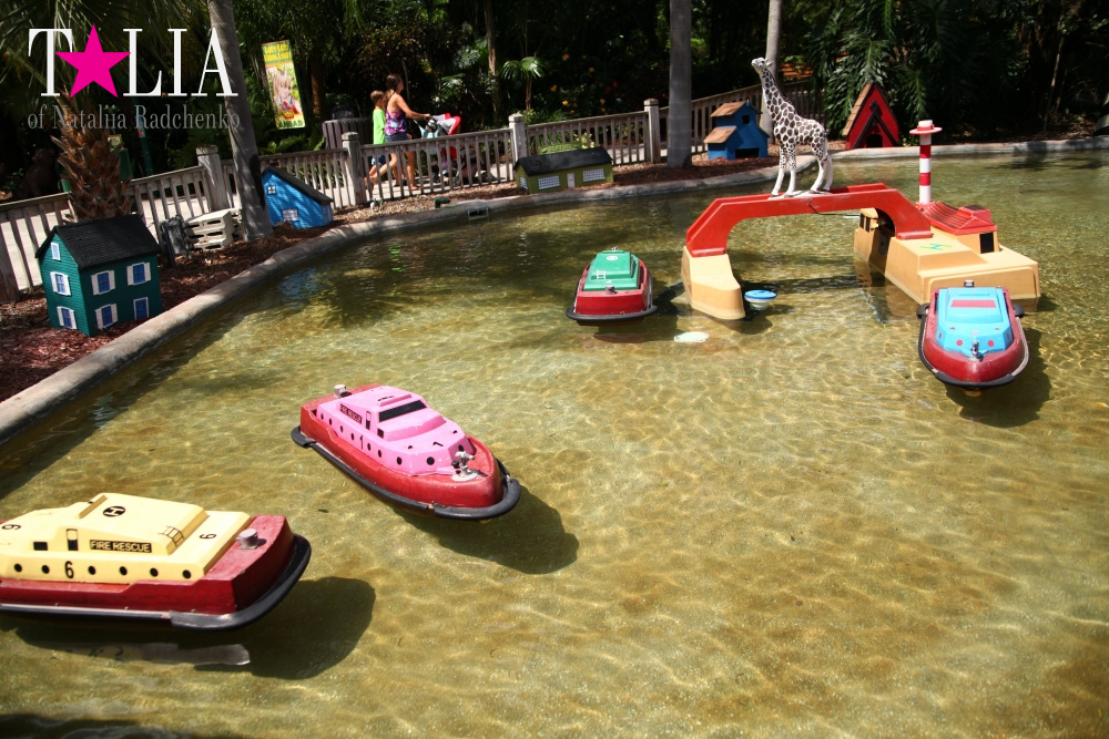 Мини-гольф и другие развлечения Страны Львов, Флорида